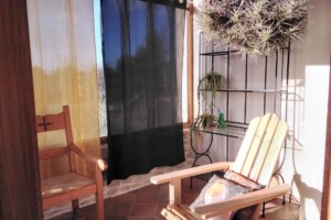 Jardin d’hiver 