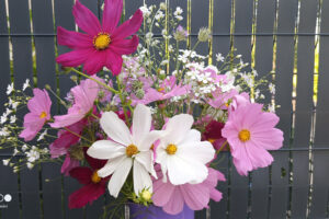 Composition florale